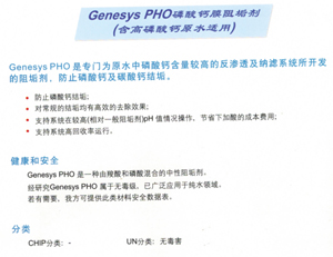 Genesy PHO Ĥ蹸ԭˮã